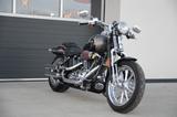 Harley-Davidson FXSTSSE Softail CVO Springer   110 SE - HARLEY-DAVIDSON CVO SOFTAIL SPRINGER FXSTSSE