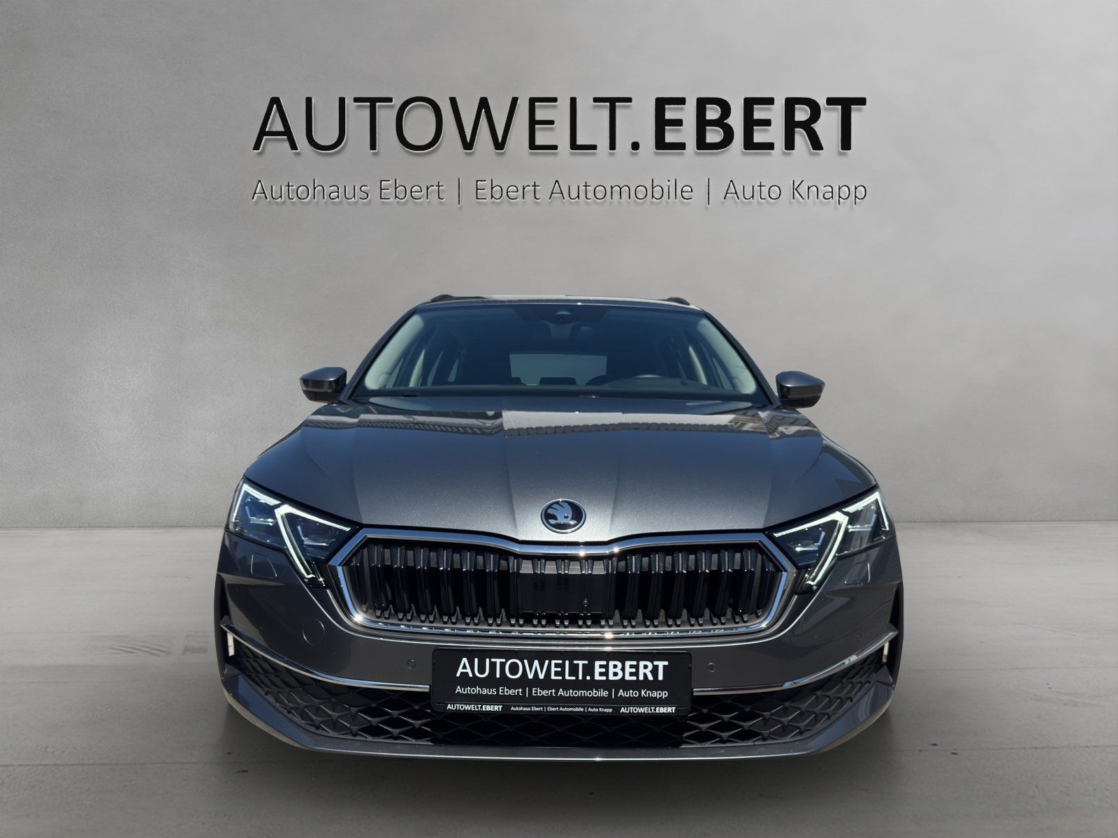 Fahrzeugabbildung SKODA Octavia 2.0 TDI DSG Selection/ACC/HUD/360°CAM/