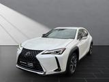 Lexus UX 250h*STYLE.*1HD*SHZ*NAVI*CARPLAY* - Lexus aus 2021