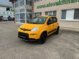Fiat PANDA 1,3 MultiJet 95 WILD 4x4 vin 367 - Fiat Panda: 1.4