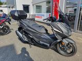 Honda FORZA 350 NSS350 1.Hand To Zustand & Ausstattung - HONDA FORZA