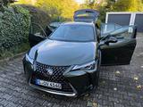 Lexus UX 250h - Lexus aus 2021