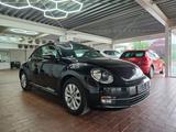 Volkswagen Beetle Lim. Design Service + Steuerkette.. neu - Volkswagen Beetle: Kleinwagen