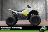 CFMOTO Cforce EV 110, Kinderquad, sofort lieferbar - CFMOTO CFORCE EV110