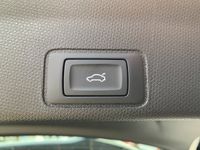 Cupra Terramar - Vorschau Bild 30