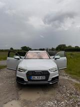 Audi A4 Allroad Quattro 3.0 TDI *Standheizung* *B&O*
