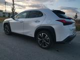 Lexus UX 250h Style Edition  - Lexus UX von privat