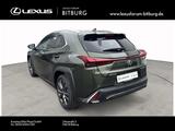Lexus UX 300 h F-Sport Design 15 Jahre Lexus Relax Gar - Lexus UX Tageszulassungen