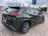Lexus UX 300e **EXECUTIVE PAKET** - mit Elektro-Antrieb: Scheckheftgepflegt