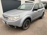 Subaru Forester 2.0 AWD Automatik Active Panoramadach - Subaru Forester: Auto