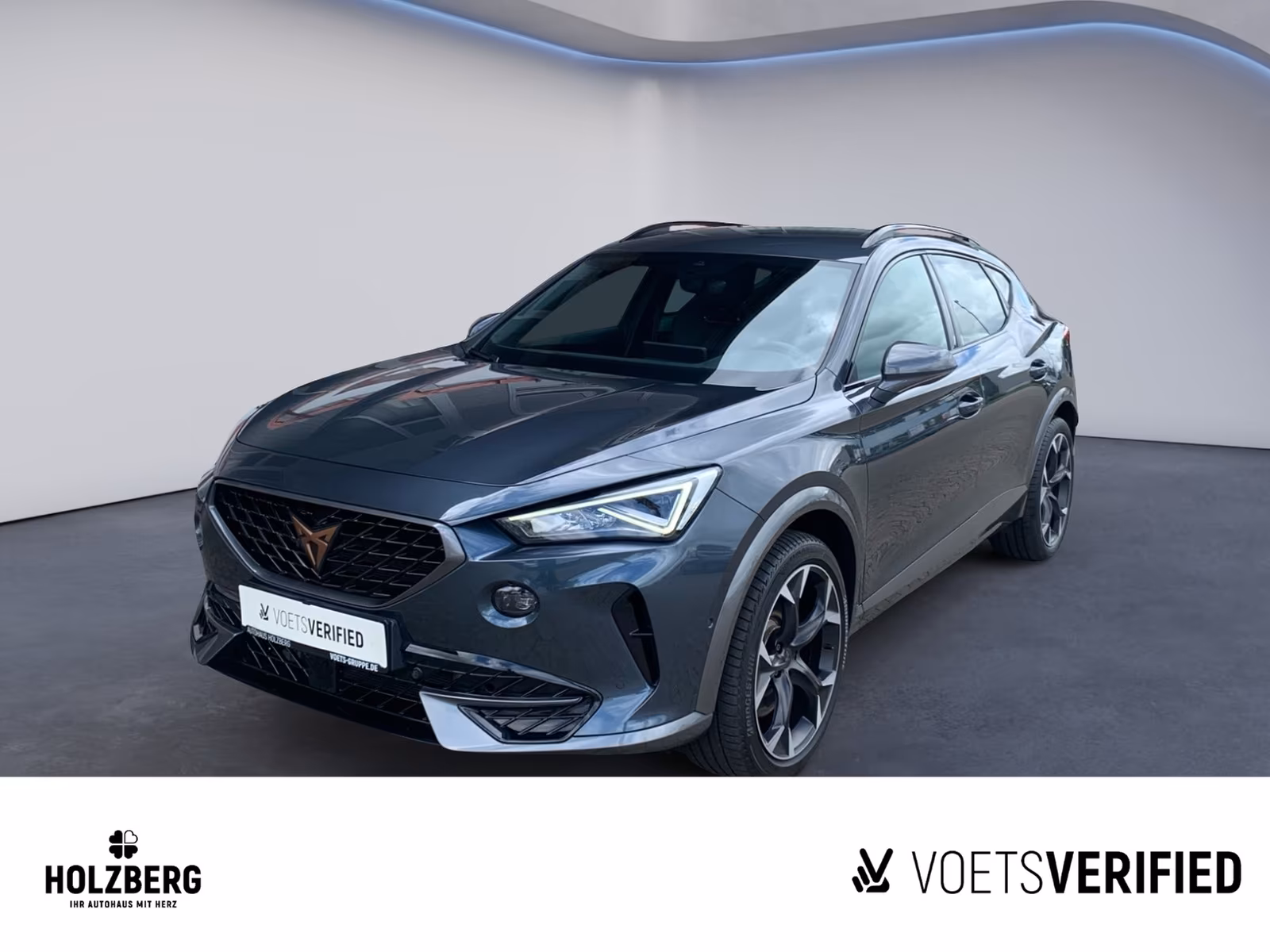 Cupra Formentor 2.0 TSI VZ LEDER+ACC+FullLink