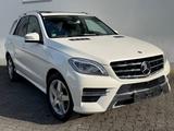 Mercedes-Benz ML 350 CDI ! AMG-STYLING! DESIGNO ! 1-HAND! H/K! - Mercedes-Benz ML 350: Cdi