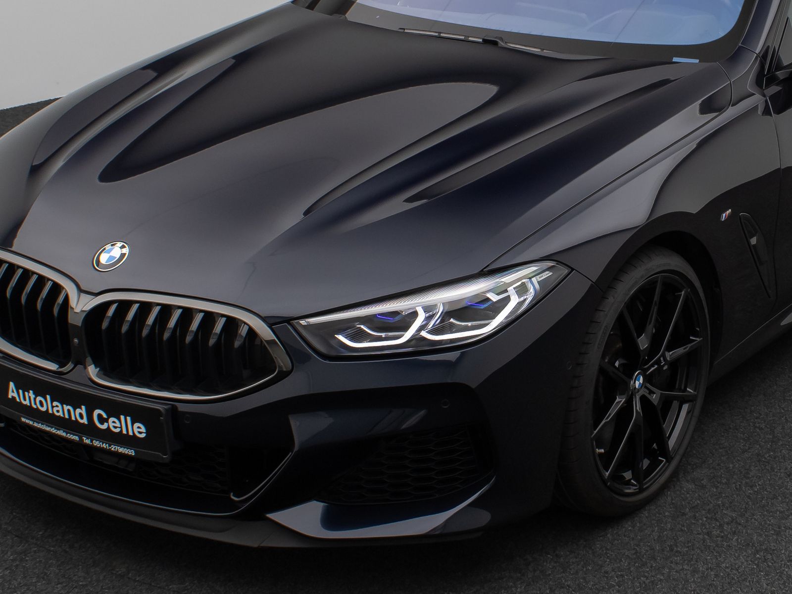 Fahrzeugabbildung BMW M850i xD GranCoupé Panorama Laser H/K SoftCl 20"