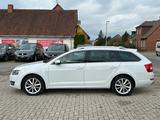 Skoda Octavia Combi 2.0TDI, Pano, Navi, Xenon, TÜV neu - gebrauchte Skoda Octavia aus dem Jahr 2014