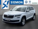 Skoda Kodiaq 1.4 TSI 7-Sitzer Apple CarPlay Temp SHZ - Skoda Gebrauchtwagen in Rheine