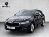 Skoda Octavia 1.0 TSI e-TEC Ambition Android - Skoda Octavia in Freiburg