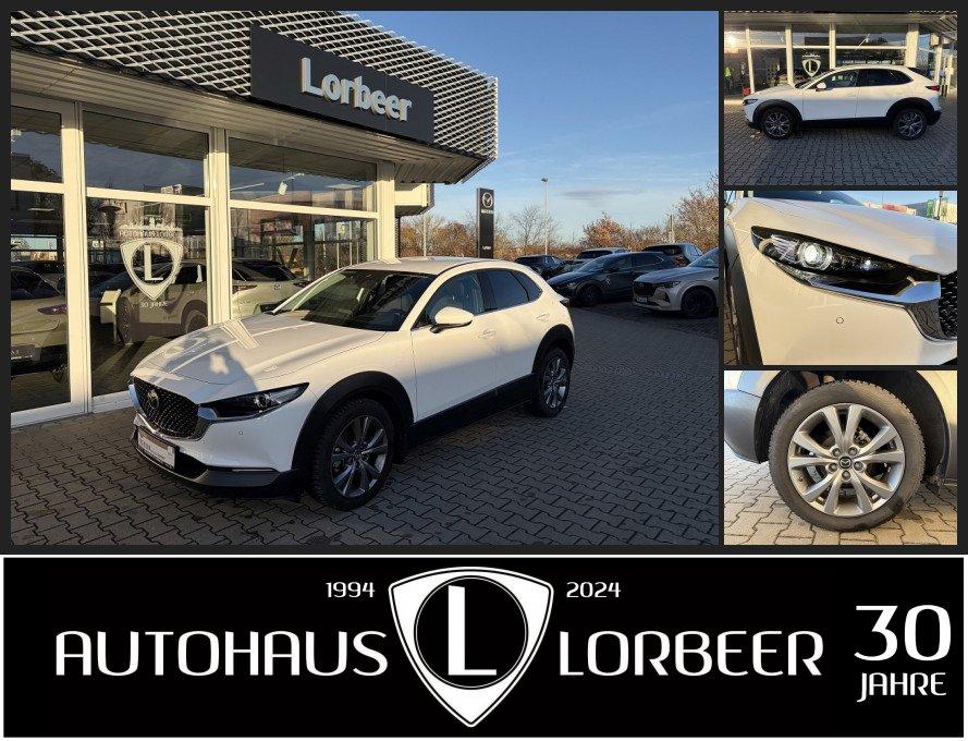 Mazda CX-30 M-HYBRID 150PS 6AG SELECTION DES-P NAVI +W