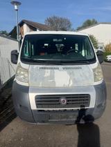 Fiat Ducato Multijet 100 Diesel 9Sitzer - Fiat Ducato in Mannheim