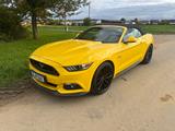 Ford Mustang 5.0 Ti-VCT V8 GT GT - mit Benzin-Antrieb: Gelb, Cabrio