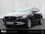 Mazda CX-30 Selection 2WD HUD Navi LED ACC El. Heckkla - Mazda Gebrauchtwagen in Aachen