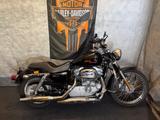Harley-Davidson Sportster, XL2 883 C Custom, 1.Hand, 5HD - HARLEY-DAVIDSON 2006 883 SPORTSTER