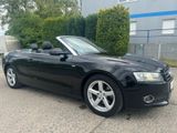 Audi A5 Cabriolet 1.8 TFSI - Audi A5 aus 2012 mit Benzin-Antrieb: Cabrio
