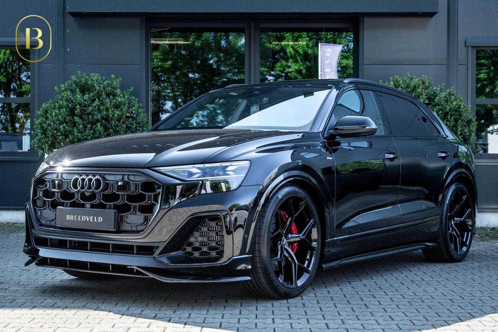 Audi Q8 60 TFSI e Competition 490pk, Carbon, Full-opt