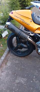 Triumph Daytona 955i T595 - TRIUMPH DAYTONA T595