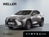 Lexus NX 350h Business Line *Navi*CarPlay*LED*CAM*TWA* - Lexus NX Series Tageszulassungen