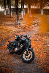 Andere BENDA Napoleon Bob 500 - CHOPPER VON 251 BIS 500 CCM