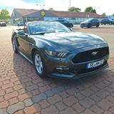 Ford Mustang 3.7L V6 Cabrio Xenon Leder Automatik PDC - Ford Mustang Gebrauchtwagen in Hamburg