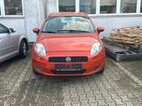 Fiat Punto 1.2 - Fiat Punto: Orange