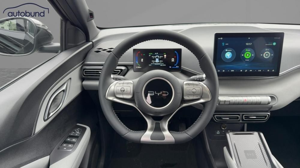 BYD DOLPHIN SURF