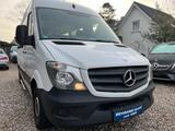 Mercedes-Benz SPRINTER KASTEN VOLLVERGLAST*AUTOMATK*129PS* - Mercedes-Benz Sprinter: Allradantrieb, Van