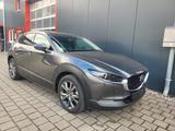 Mazda CX-30 Aut.  AWD  Leder Bose 360 Kam. Navi - Mazda CX-30 aus 2019