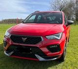 Cupra Ateca 2.0 TSI 221kW 4Drive DSG AHK  - rote Cupra Ateca