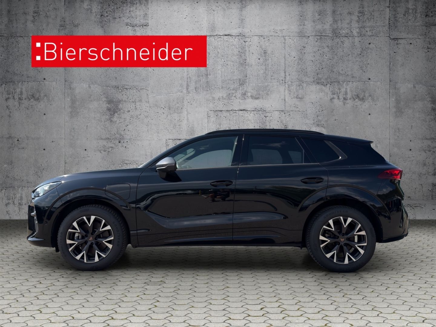 Cupra Terramar - Bild 5