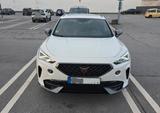 Cupra Formentor 2.0 TSI 228kW VZ 4Drive DSG VZ - Cupra Formentor Gebrauchtwagen in Dortmund