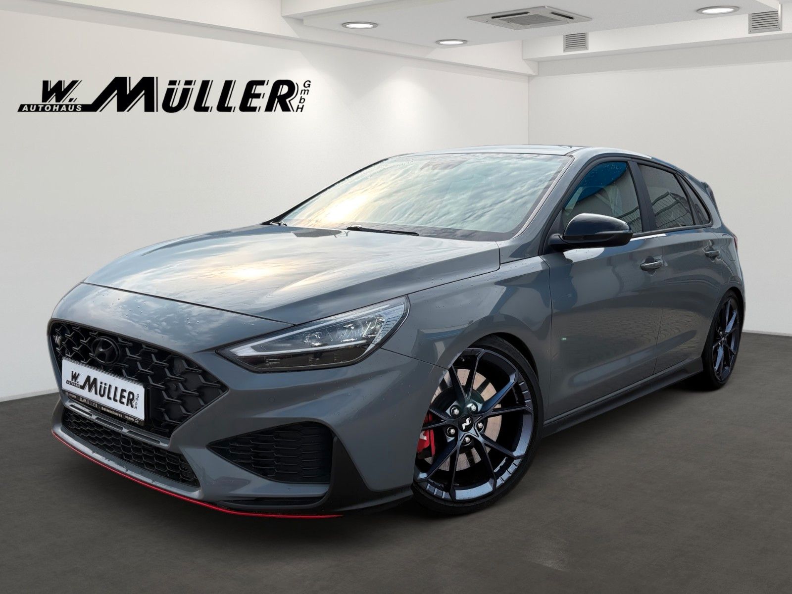 Fahrzeugabbildung Hyundai i30 N Performance