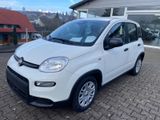 Fiat Panda Pandina KLIMA, TEMPOMAT, PDC*AKTIONSPREIS*