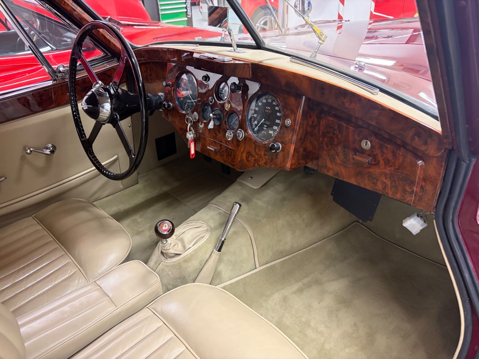 JAGUAR XK 14