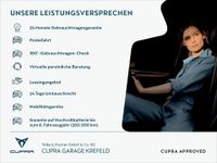 Cupra Terramar - Vorschau Bild 2