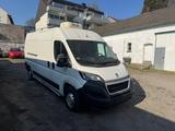 Peugeot Boxer Kasten Hochraum Kühltranspoerter - Peugeot Boxer in Bochum