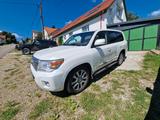 Toyota Land Cruiser 4,5-l-V8-D-4D Executive Automat... - gebrauchte Toyota Land Cruiser aus dem Jahr 2014