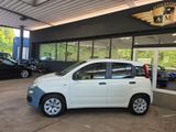 Fiat Panda 1.2 Pop BLANCO/AW-Reifen/1.Hand - Fiat Panda mit Benzin-Antrieb: Zentralverriegelung, Limousine
