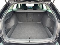 Skoda Octavia - Vorschau Bild 7
