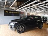 Land Rover Range Rover Evoque Dynamic*Leder*Xenon**SHZ* - Land Rover in Frankfurt (Main): Evoque