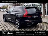 Volvo XC 60 T8 Twin Engine AWD R Design Plug-In Xenium - Volvo XC60: Xenium
