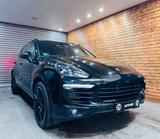 Porsche Cayenne Platinum Edition/BOSE/STAND-HZG/LED - Porsche Cayenne Gebrauchtwagen in Nürnberg