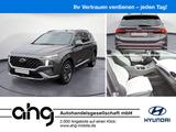 Hyundai SANTA FE Plug-in-Hybrid Head-Up Kamera Totwinkel - Hyundai SANTA FE: I